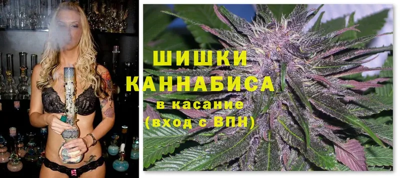 купить закладку  Гатчина  Каннабис OG Kush 